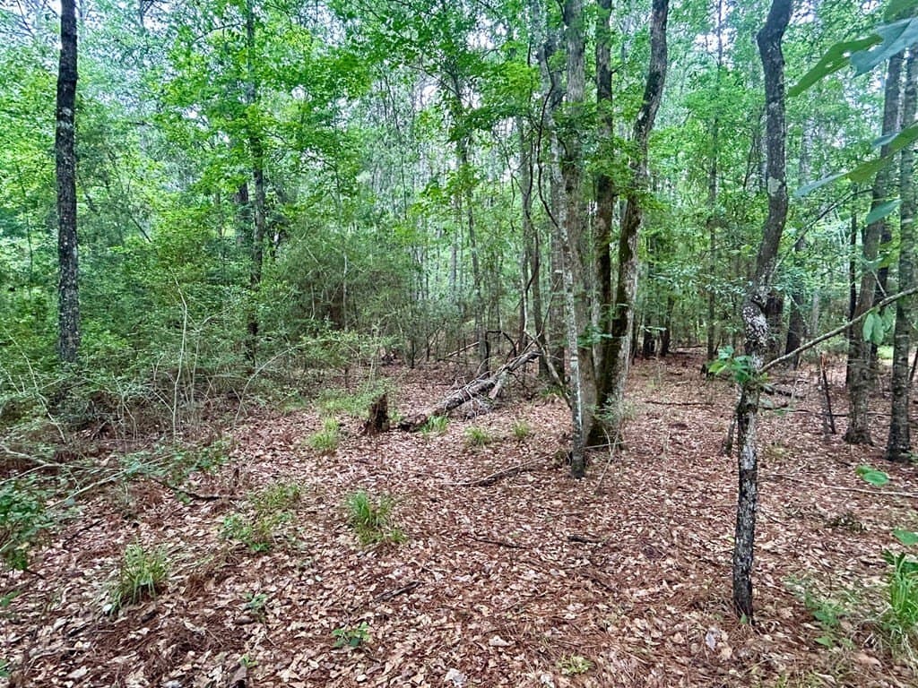 0.9 acres in Texas County - photo 6