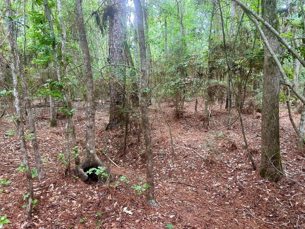 0.9 acres in Texas County - photo 8