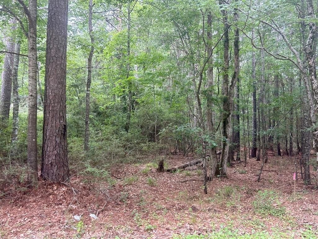 0.9 acres in Texas County gallery image 2