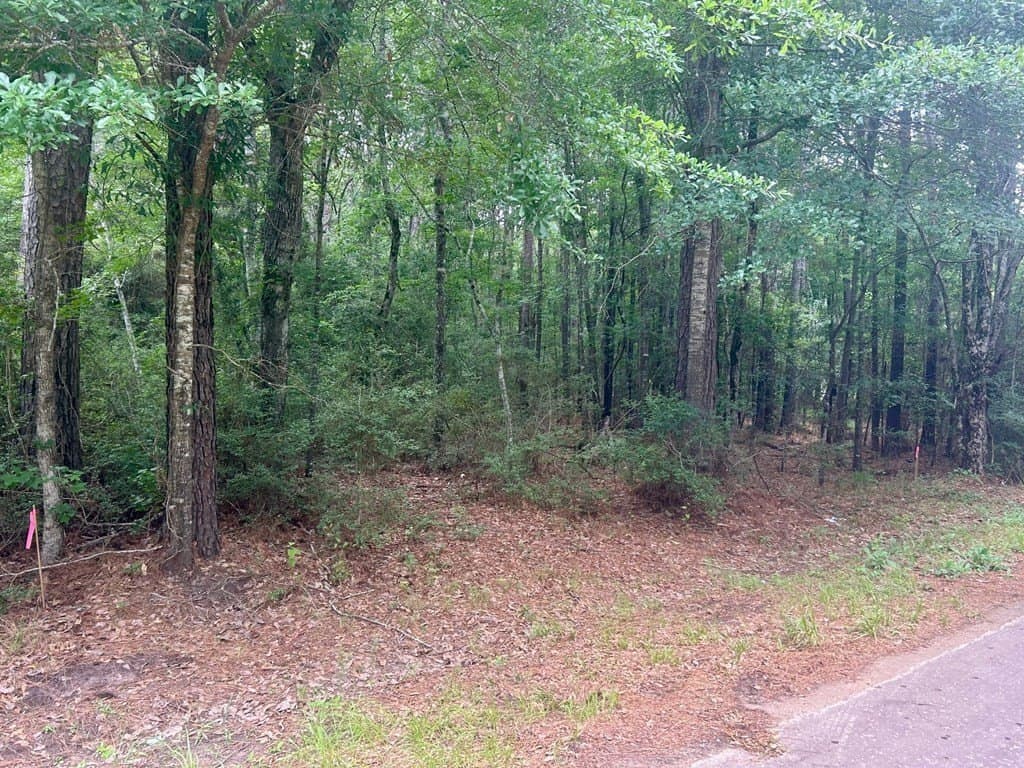 0.9 acres in Texas County - photo 7