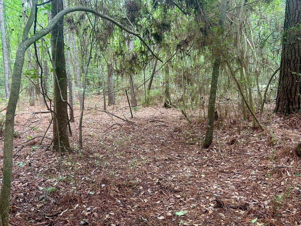 0.9 acres in Texas County featured view