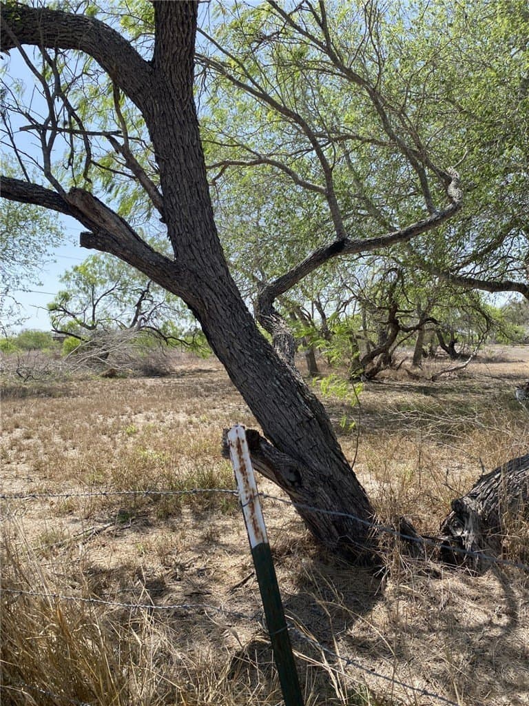 0.49 acres in Jim Wells County gallery image 4