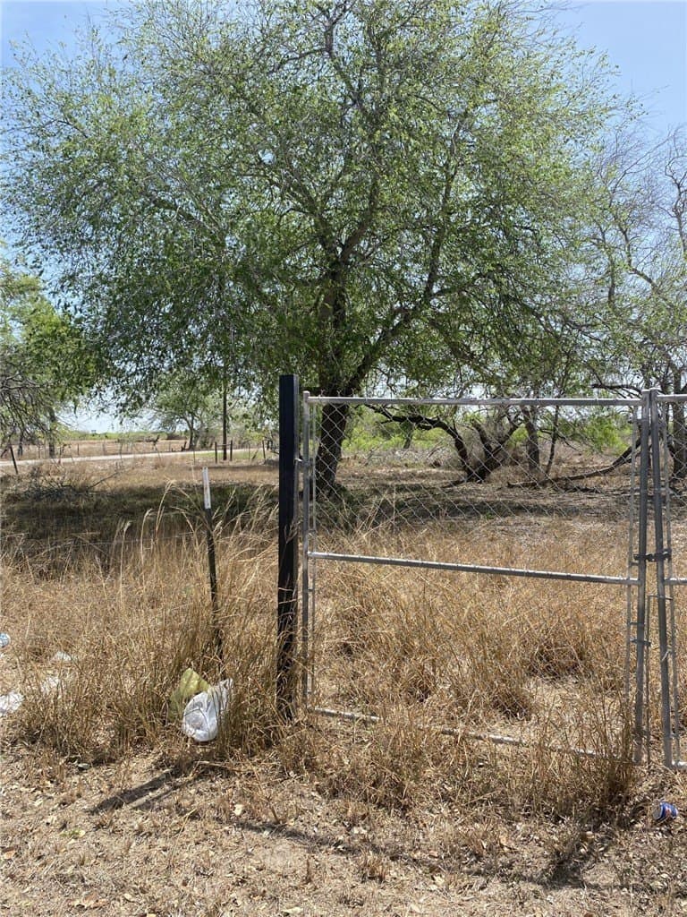 0.49 acres in Jim Wells County gallery image 3