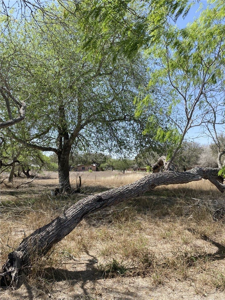 0.49 acres in Jim Wells County