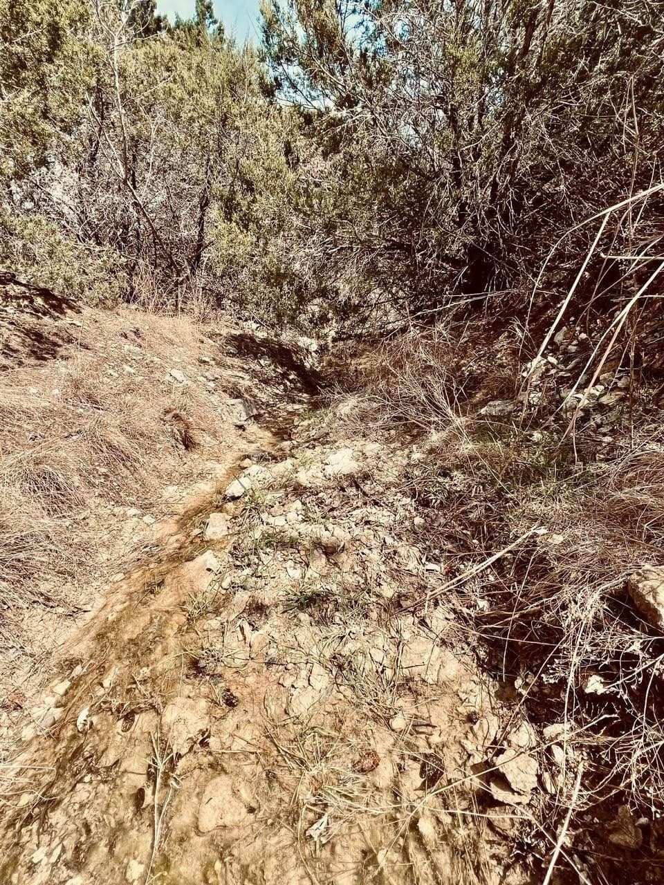 2 acres in Hood County - photo 8