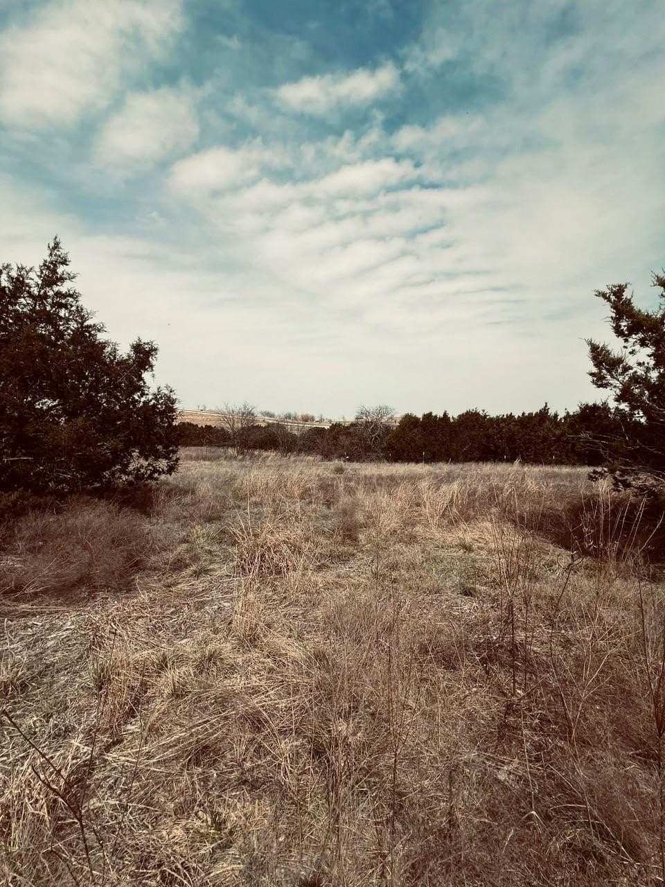 2 acres in Hood County - photo 9