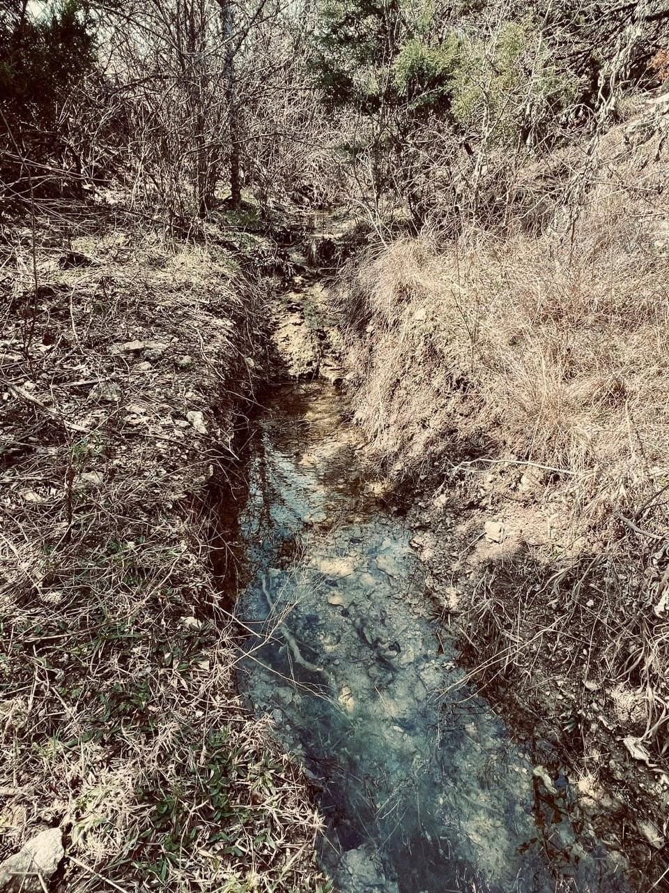 2 acres in Hood County - photo 7