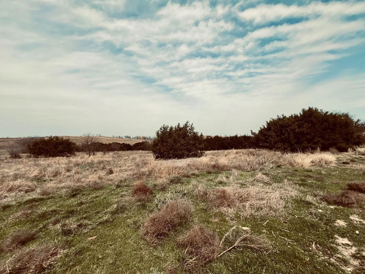 2 acres in Hood County - photo 4