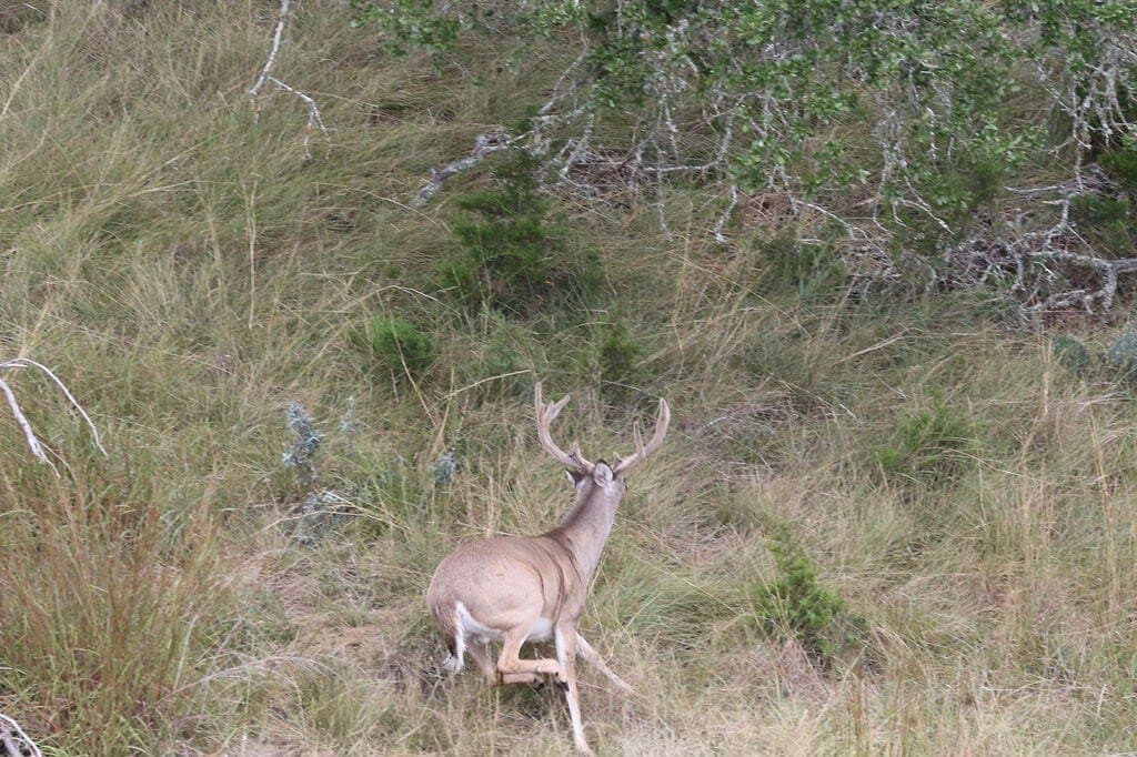 800 acres in Kimble County - photo 49