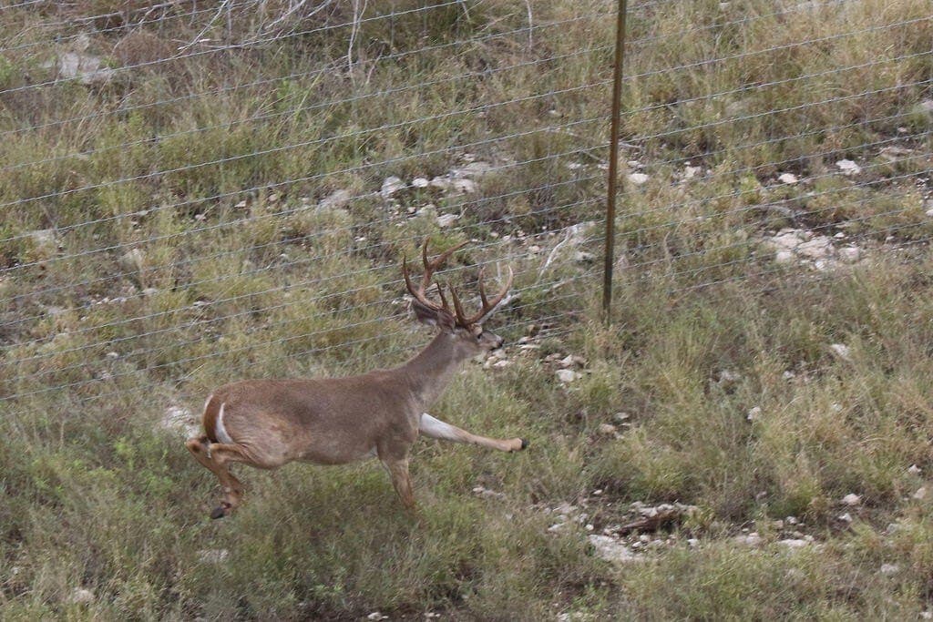 800 acres in Kimble County - photo 47