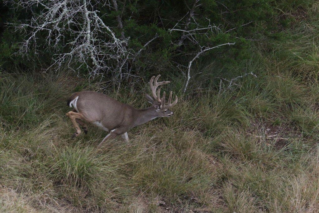 800 acres in Kimble County - photo 48