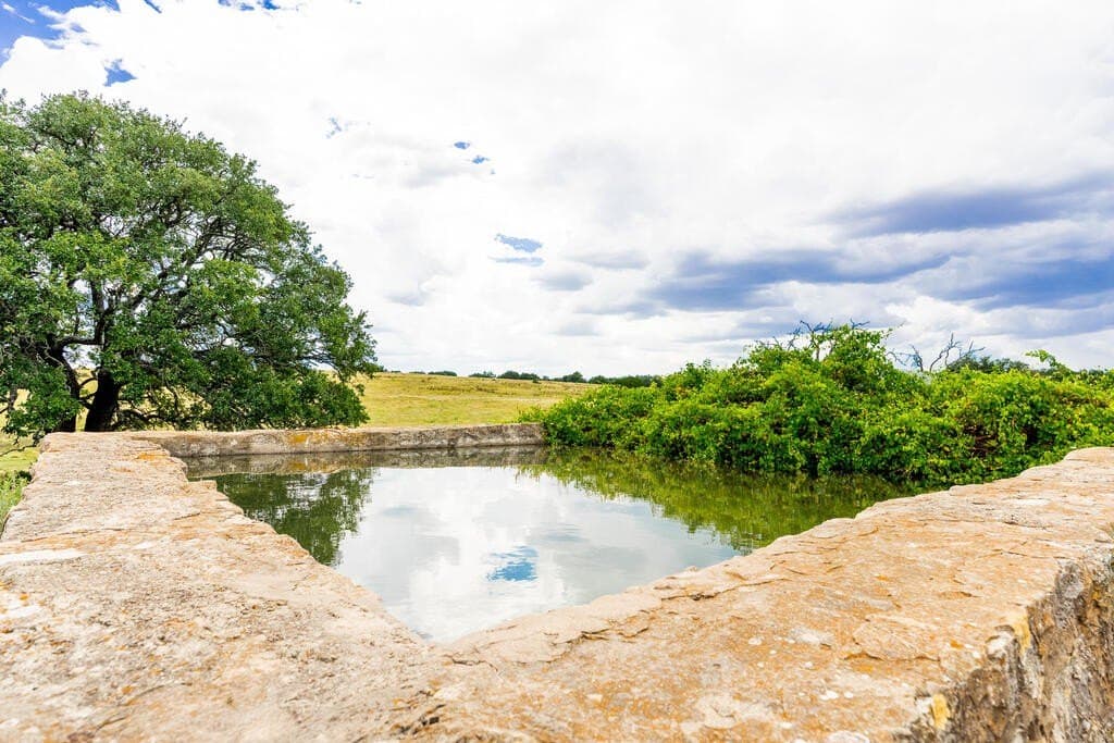 800 acres in Kimble County - photo 37