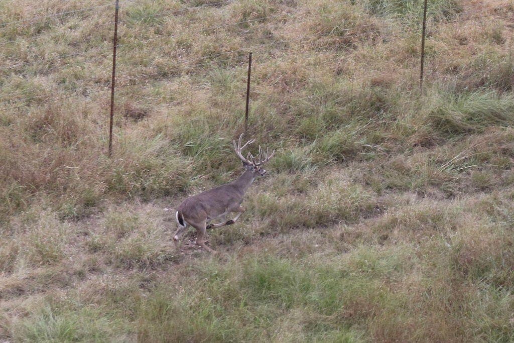 800 acres in Kimble County - photo 40