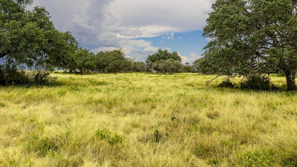 800 acres in Kimble County - photo 12