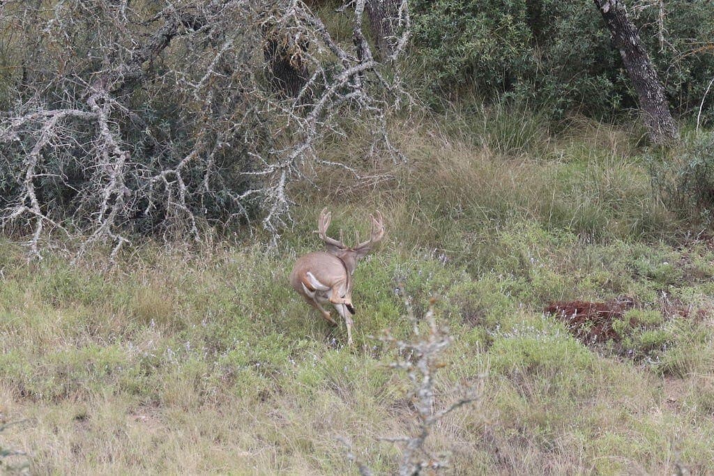 800 acres in Kimble County - photo 52