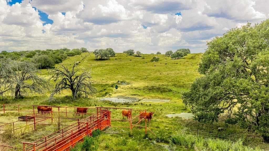 800 acres in Kimble County - photo 15