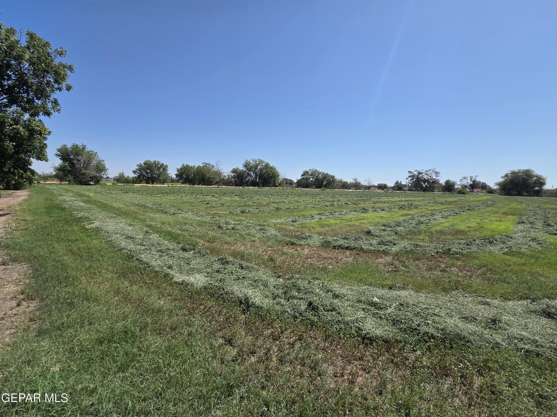10 acres in El Paso County gallery image 2
