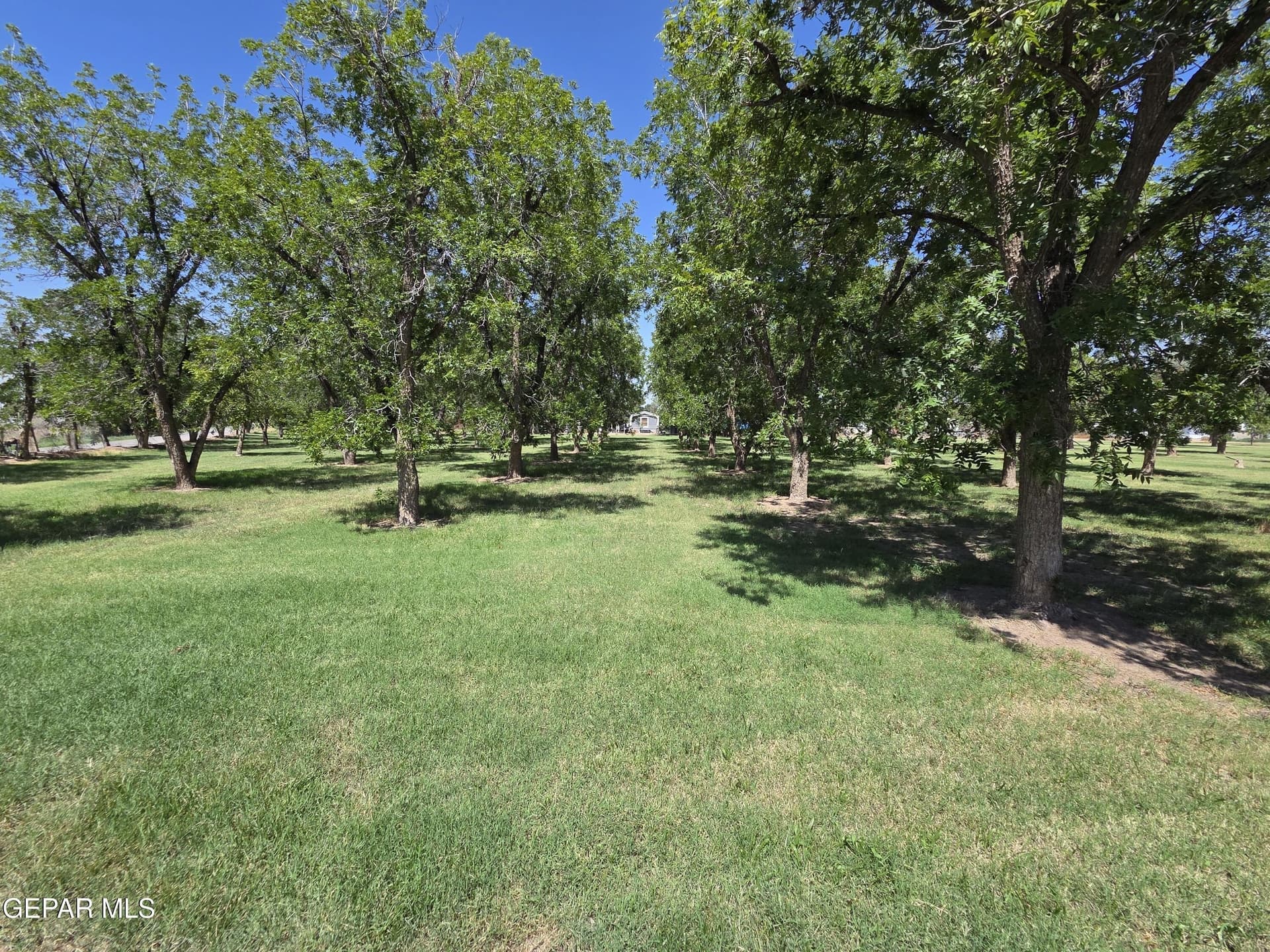 9 acres in El Paso County - photo 9