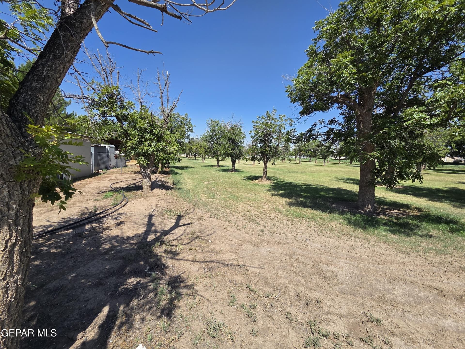 10 acres in El Paso County gallery image 3