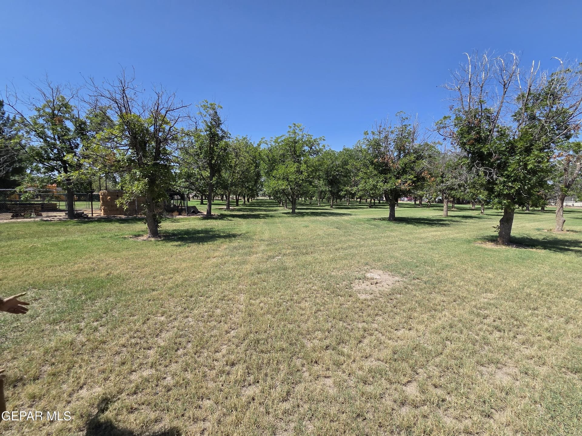 9 acres in El Paso County - photo 7