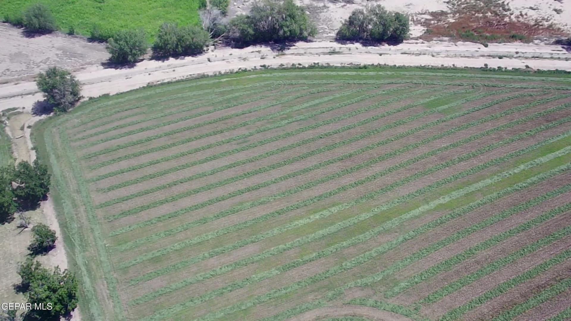 9 acres in El Paso County - photo 12