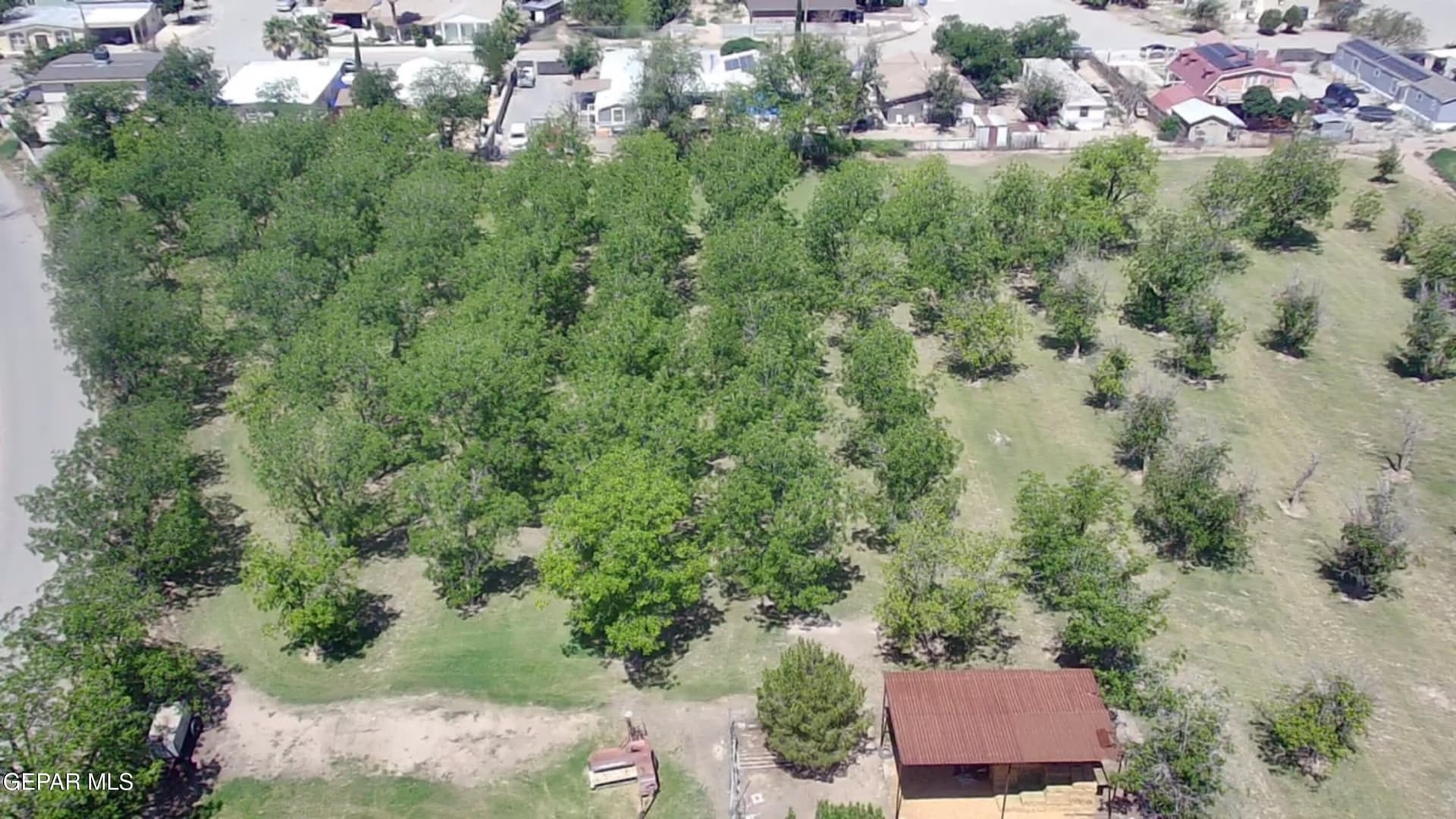 9 acres in El Paso County - photo 10
