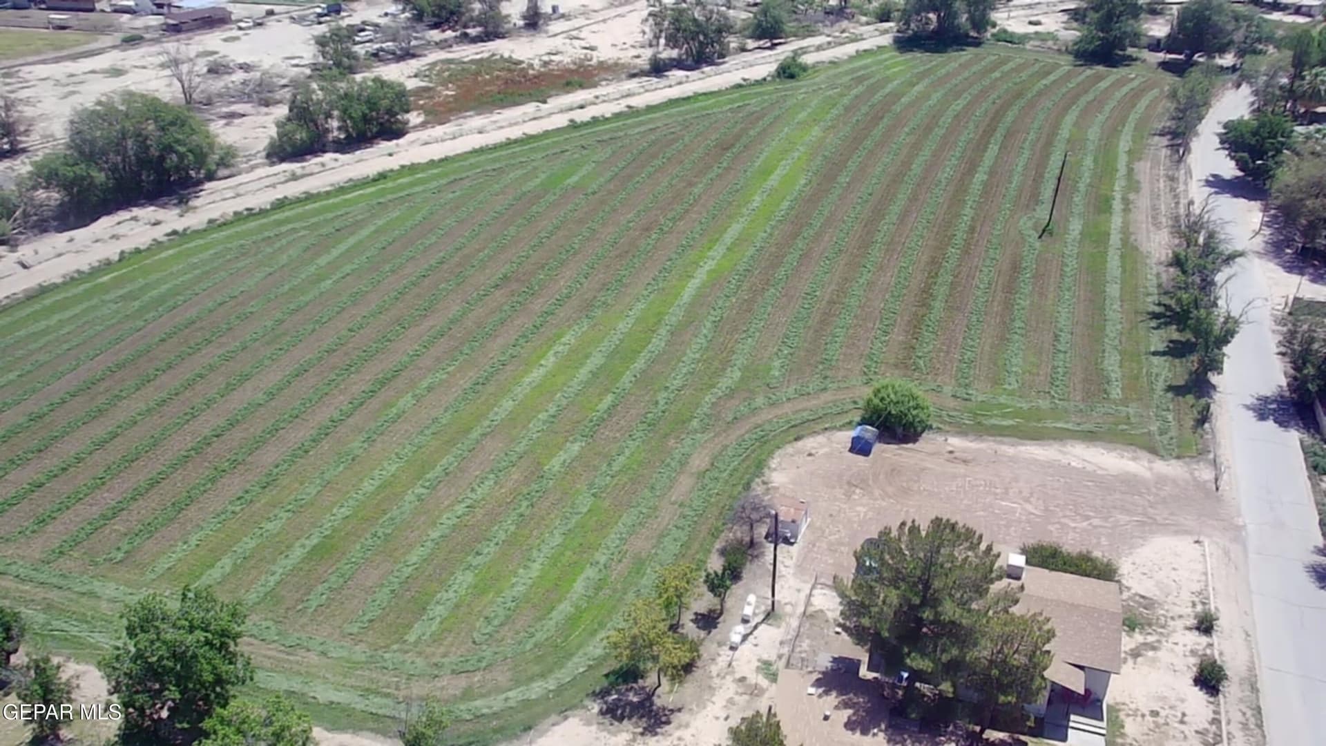 9 acres in El Paso County - photo 13