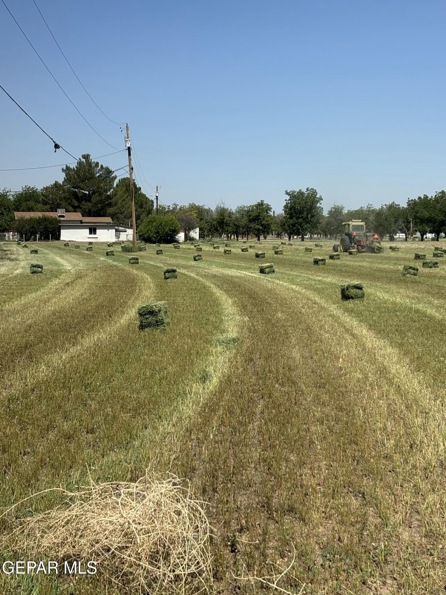 9 acres in El Paso County - photo 17