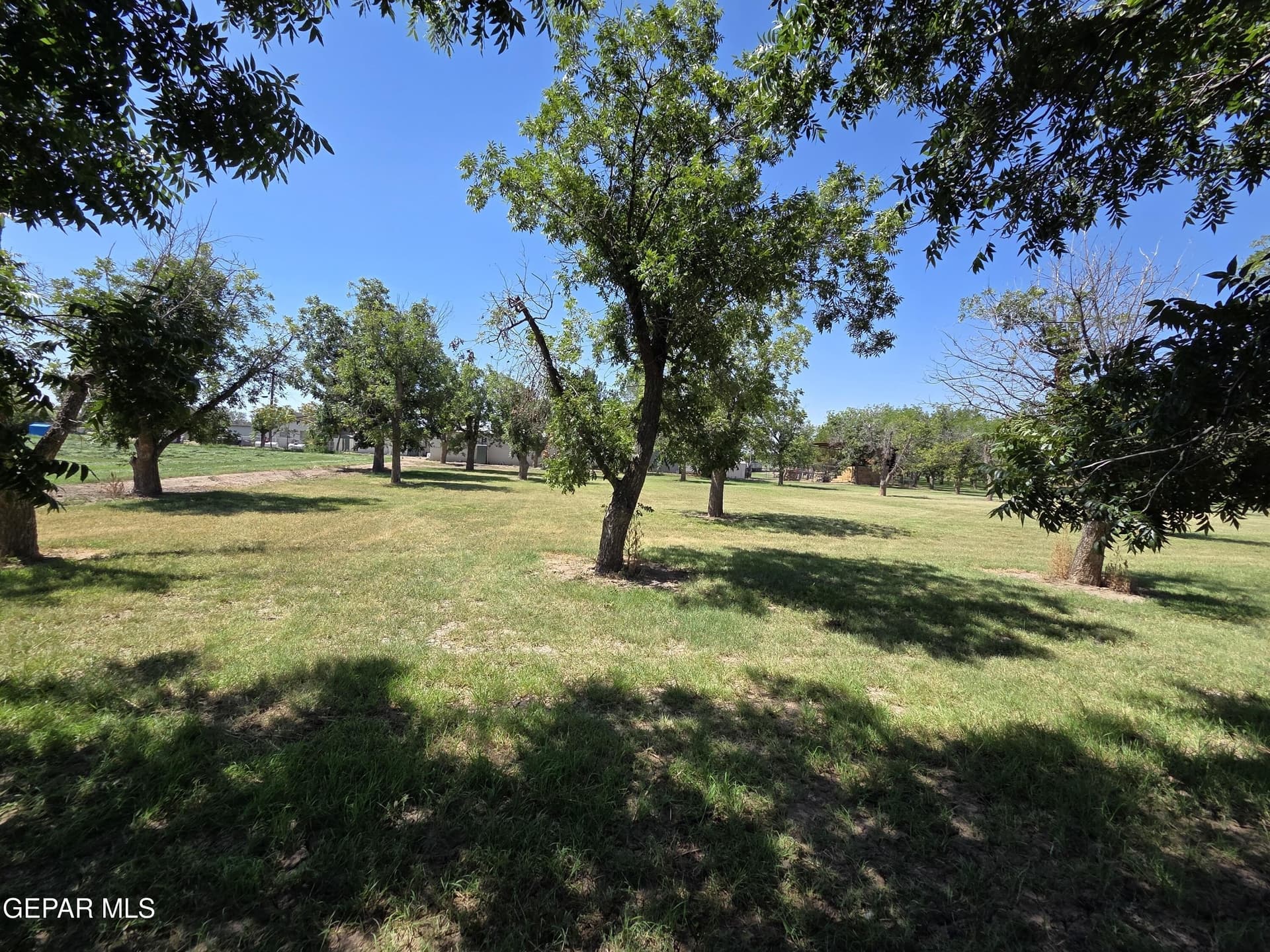 9 acres in El Paso County - photo 6
