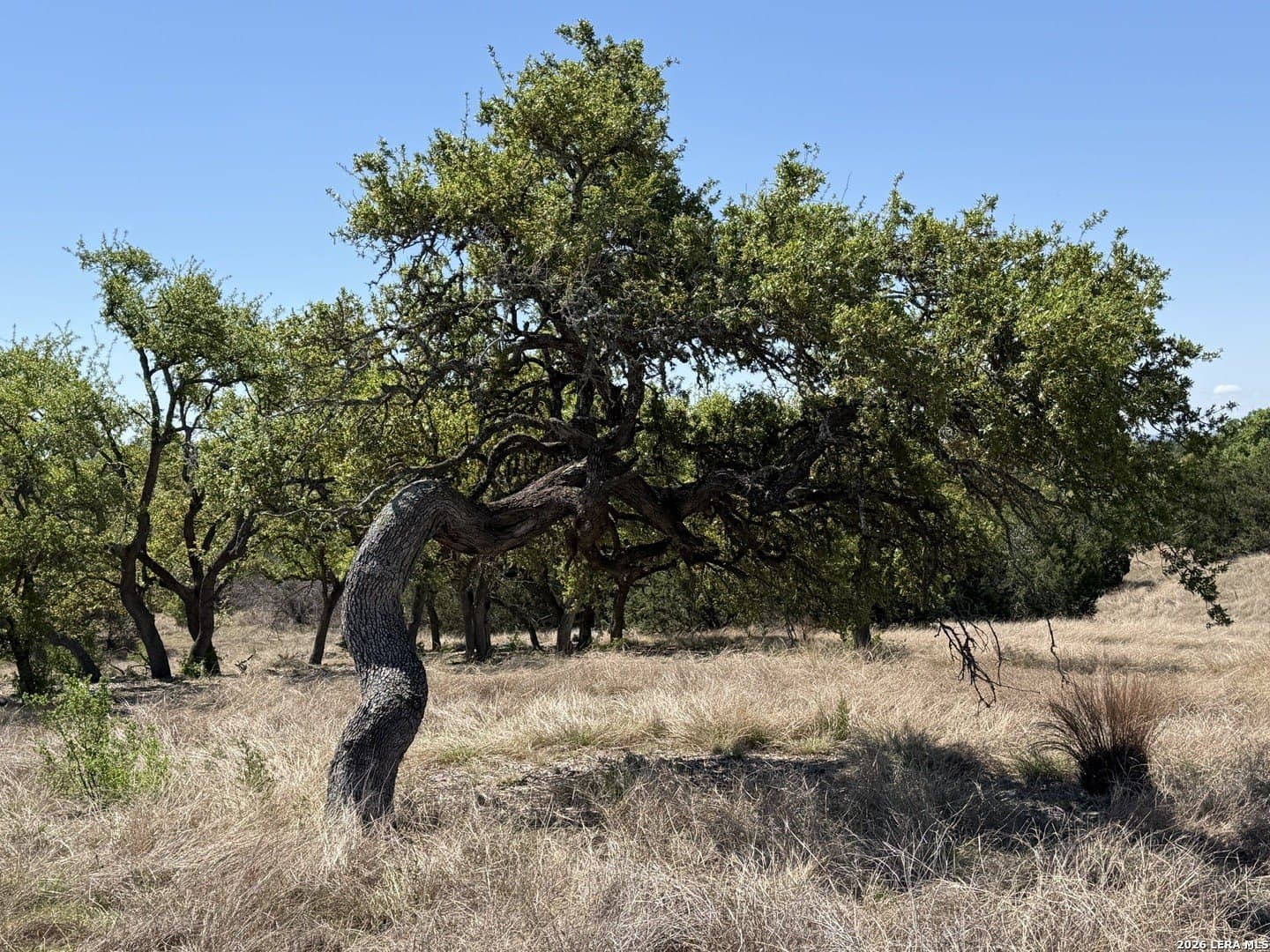 5.05 acres in Gillespie County - photo 9