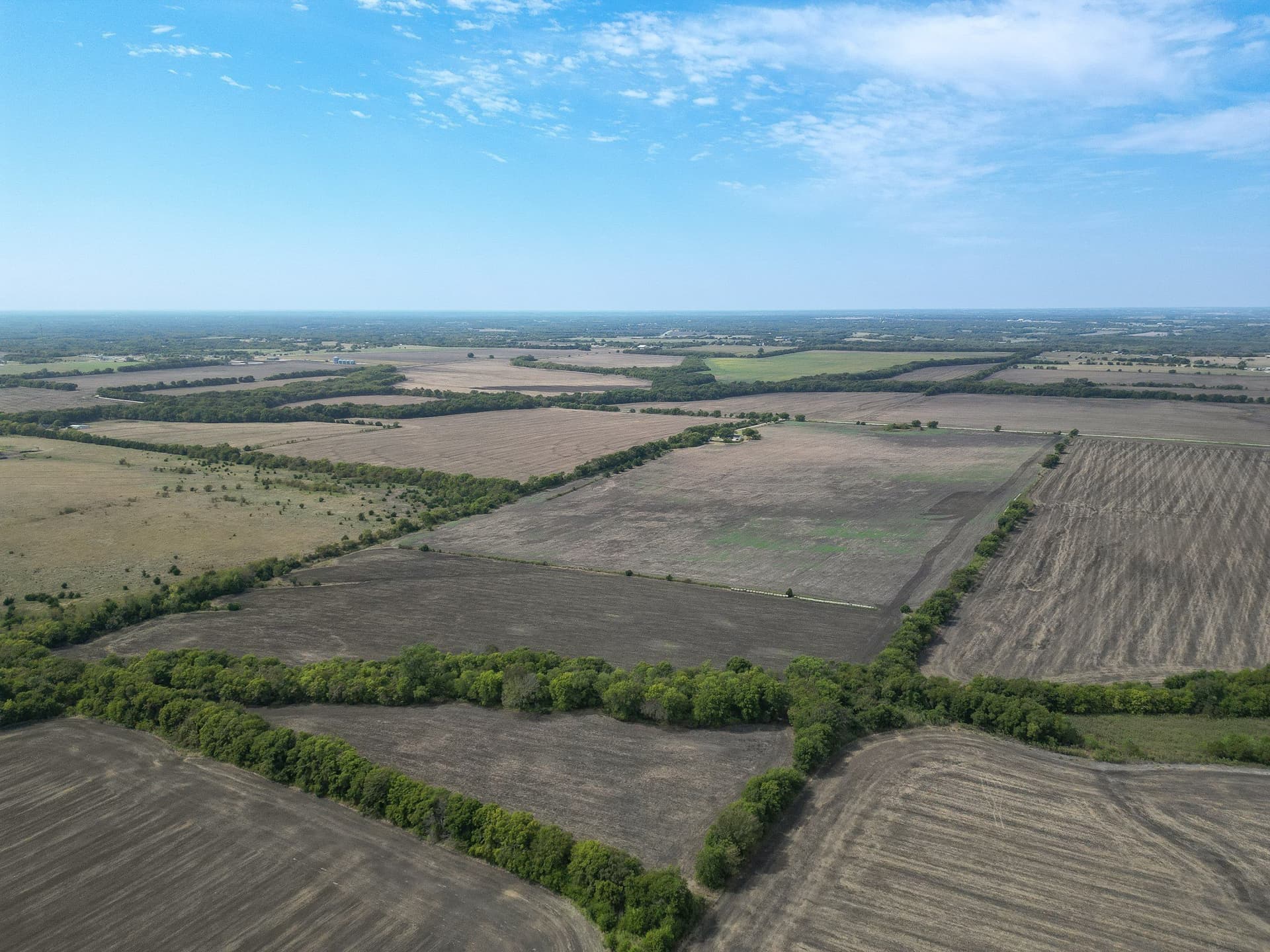 97.03 acres in Grayson County featured view