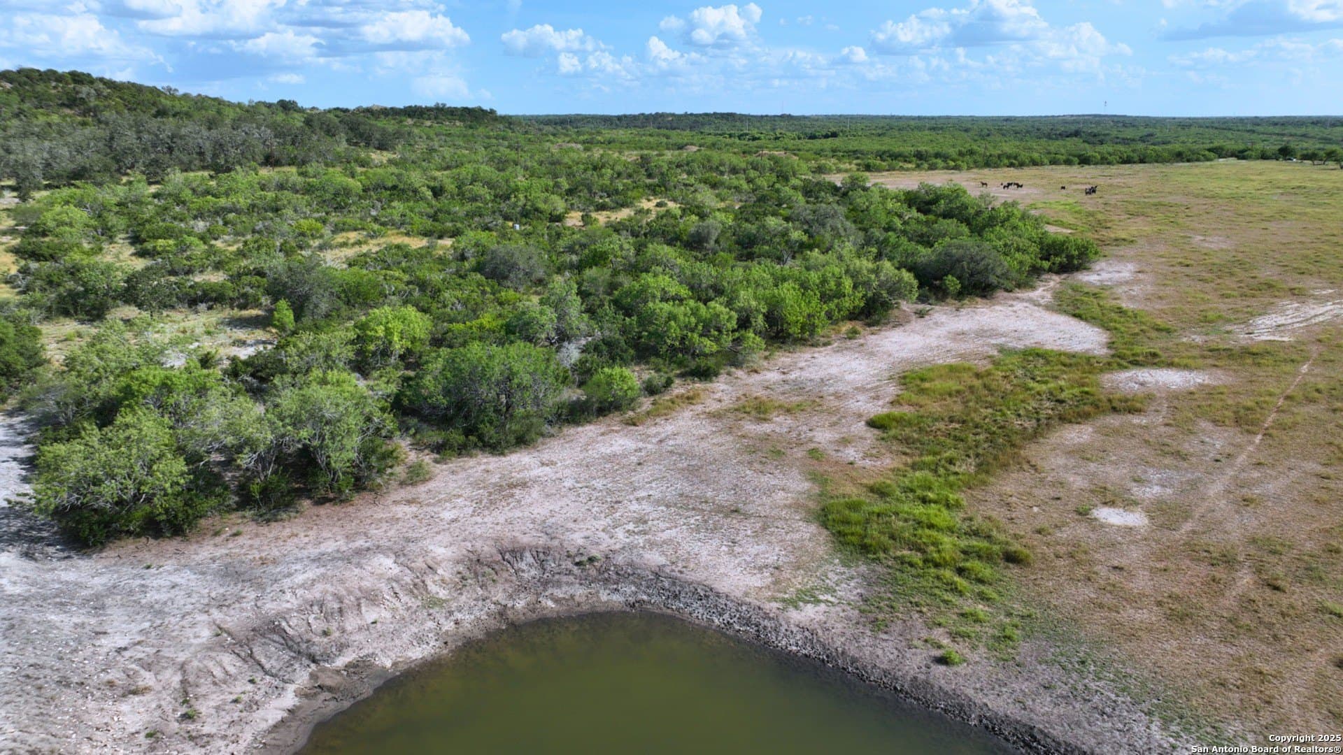 32 acres in Karnes County - photo 13