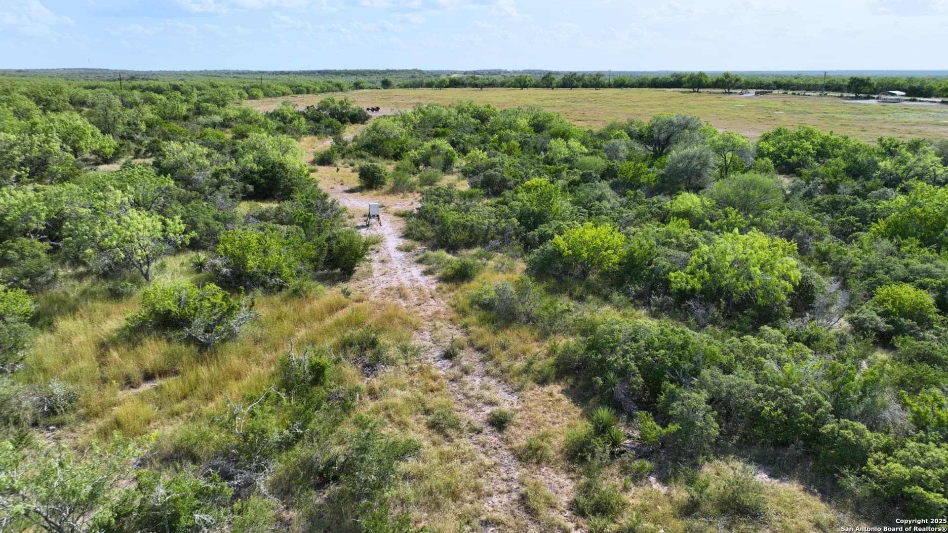 32 acres in Karnes County - photo 12