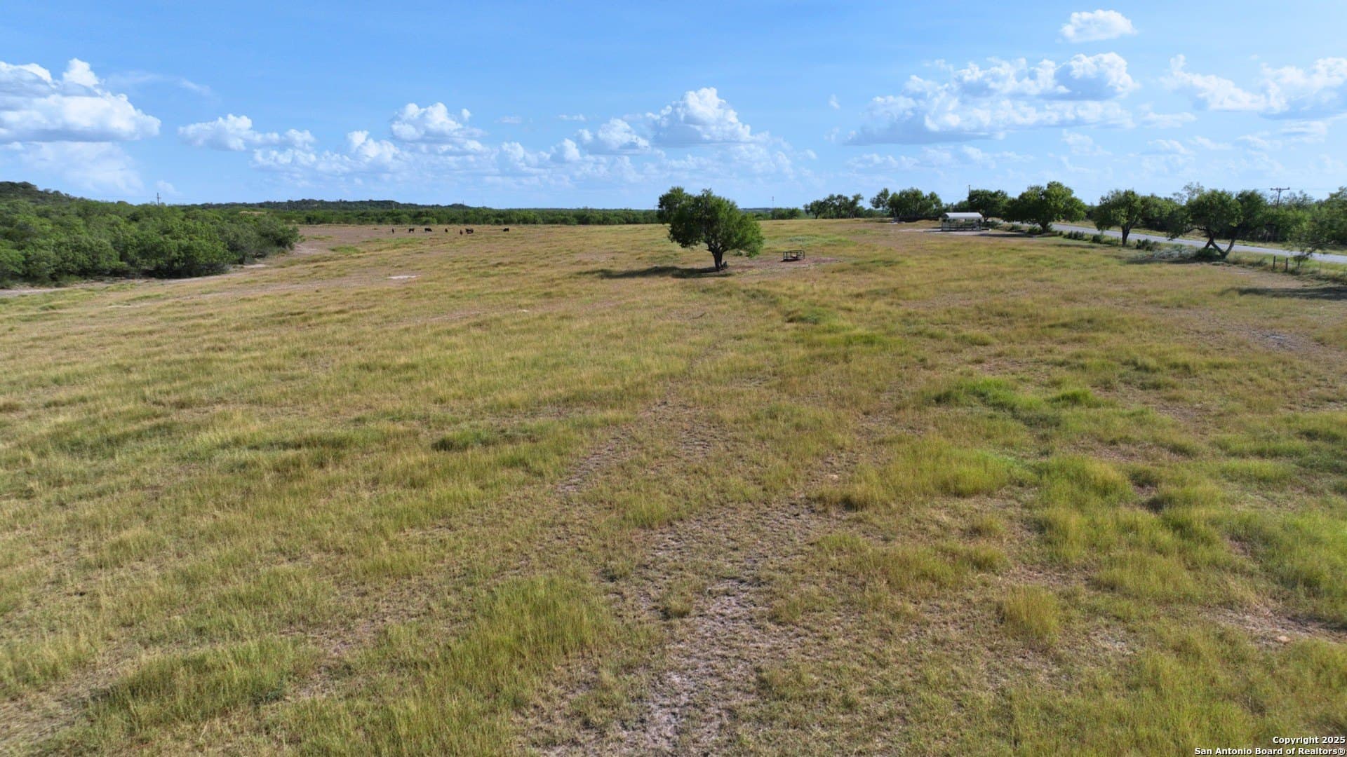 32 acres in Karnes County - photo 19