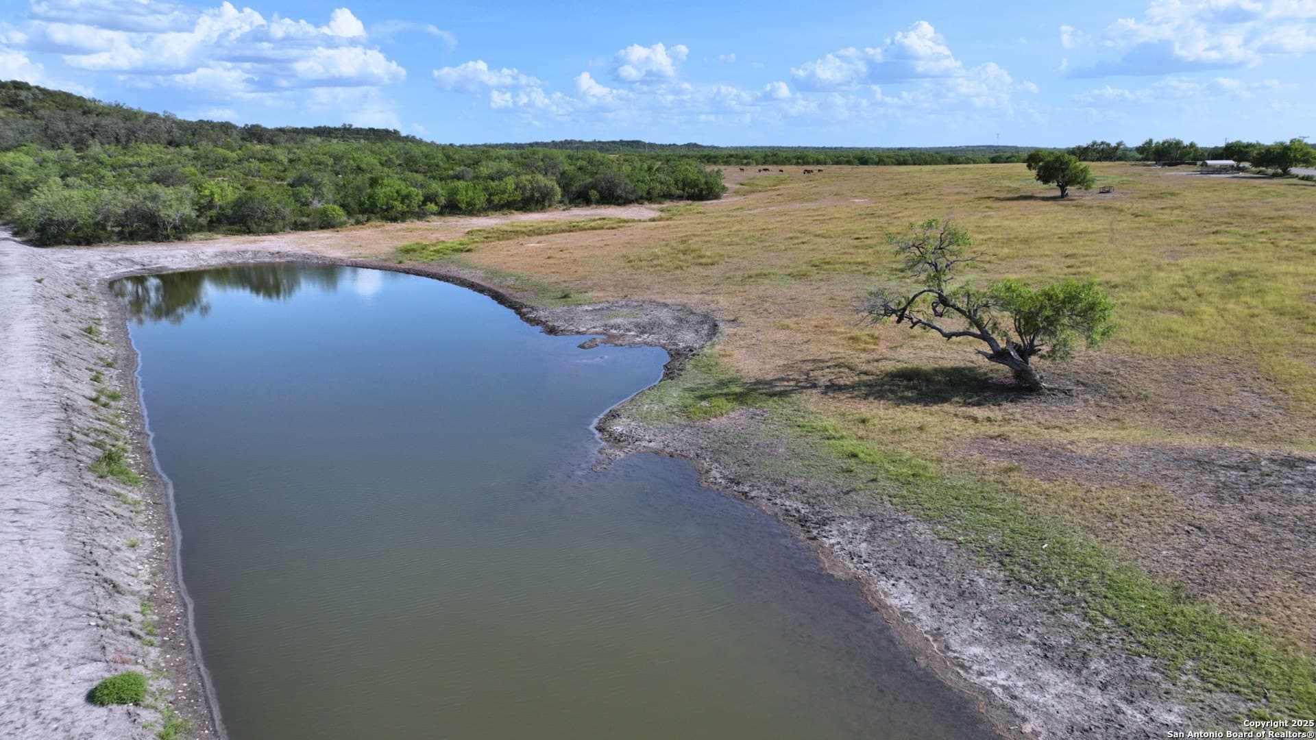 32 acres in Karnes County - photo 15