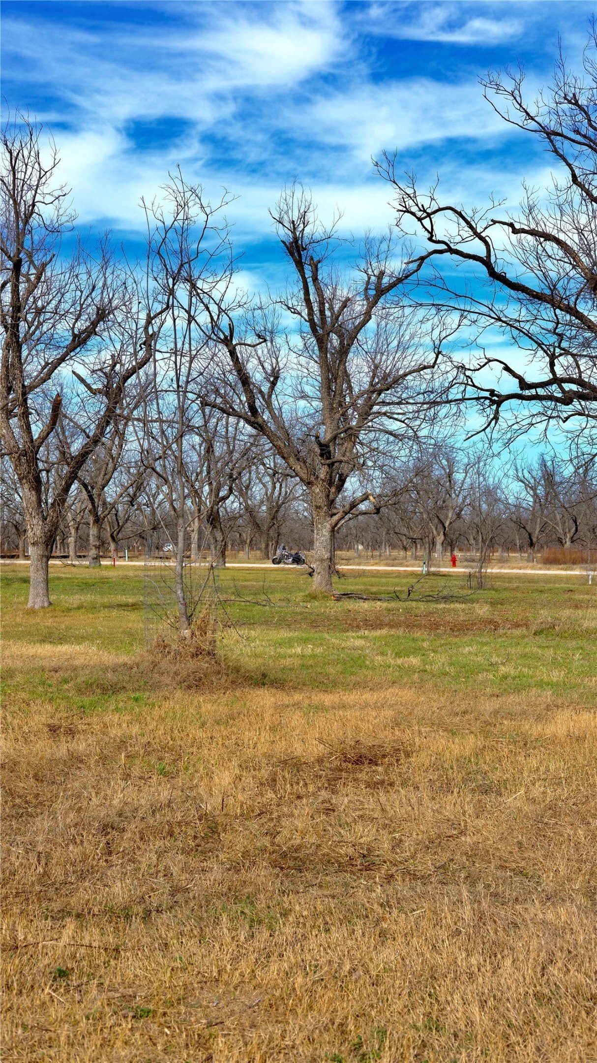 1 acres in Hood County - photo 8