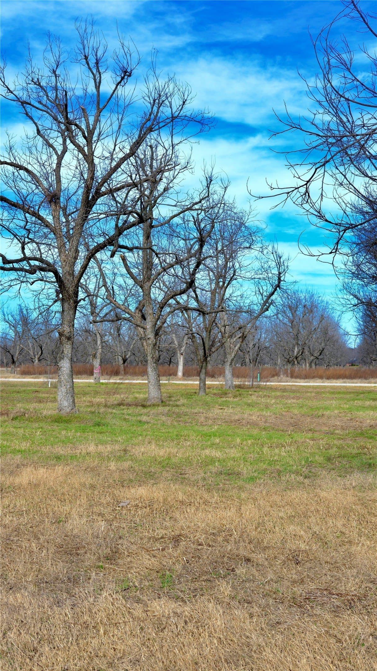 1 acres in Hood County - photo 11
