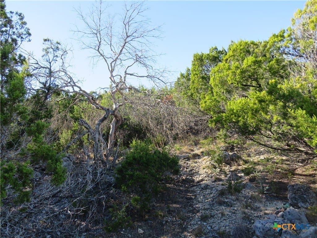 6.33 acres in Coryell County - photo 10