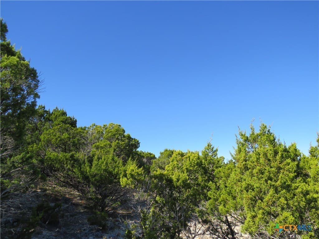 6.33 acres in Coryell County featured view