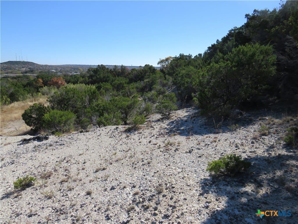 6.33 acres in Coryell County gallery image 4