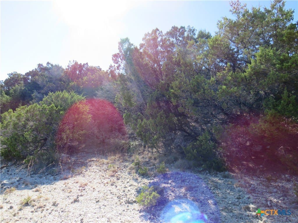 6.33 acres in Coryell County - photo 9