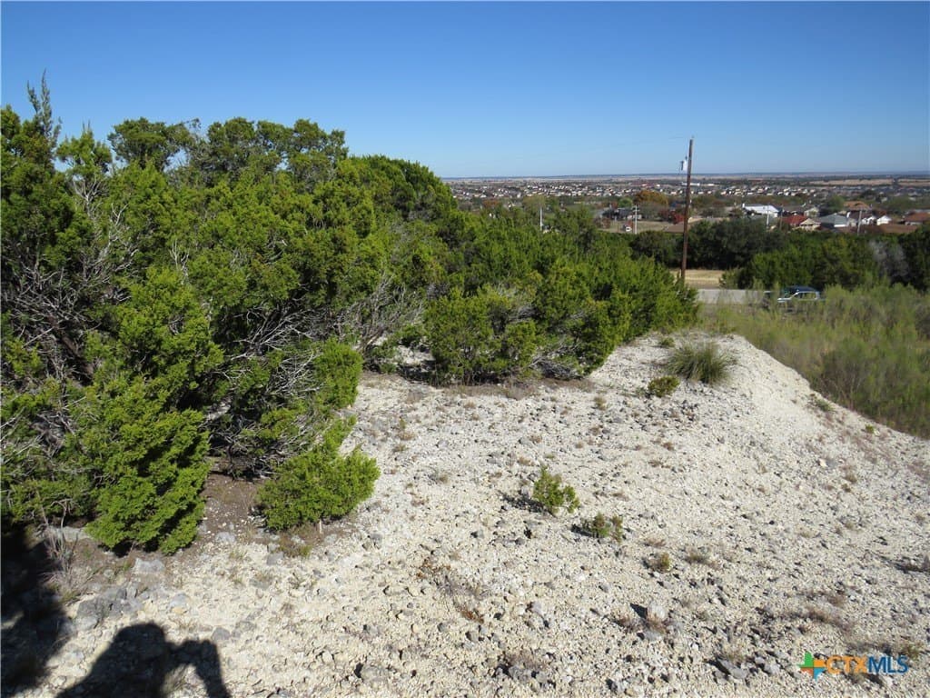 6.33 acres in Coryell County gallery image 2