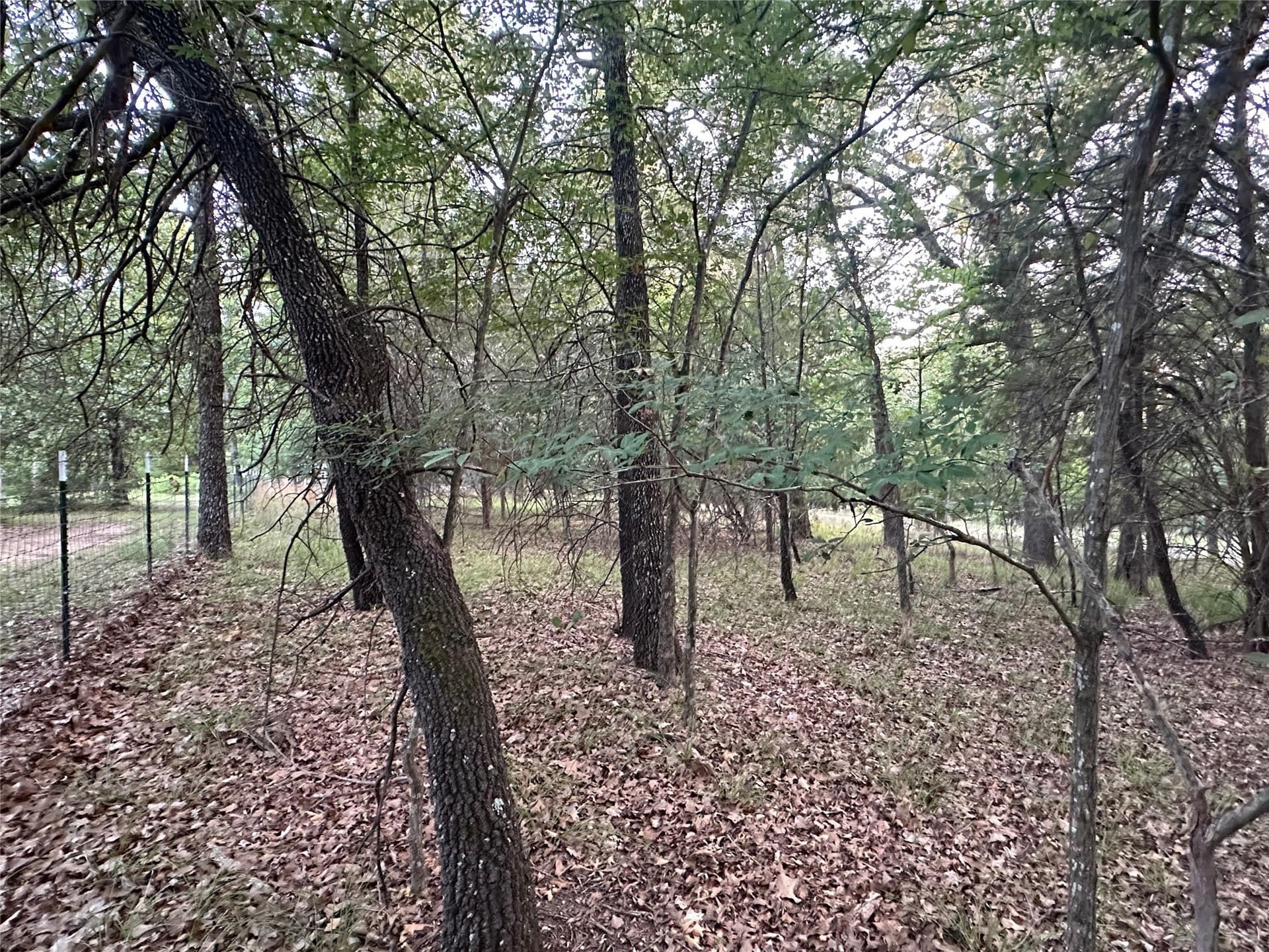 0.14 acres in Henderson County - photo 9