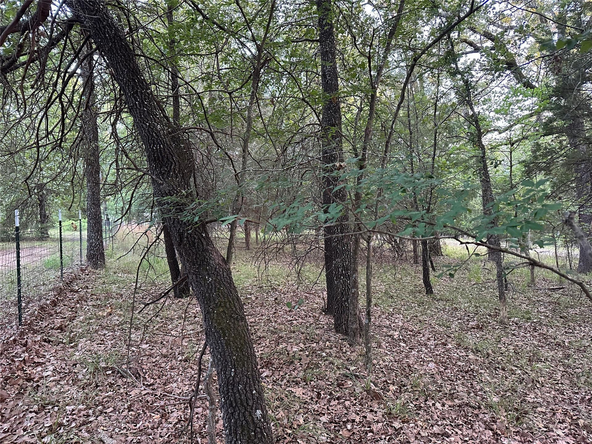 0.14 acres in Henderson County - photo 10