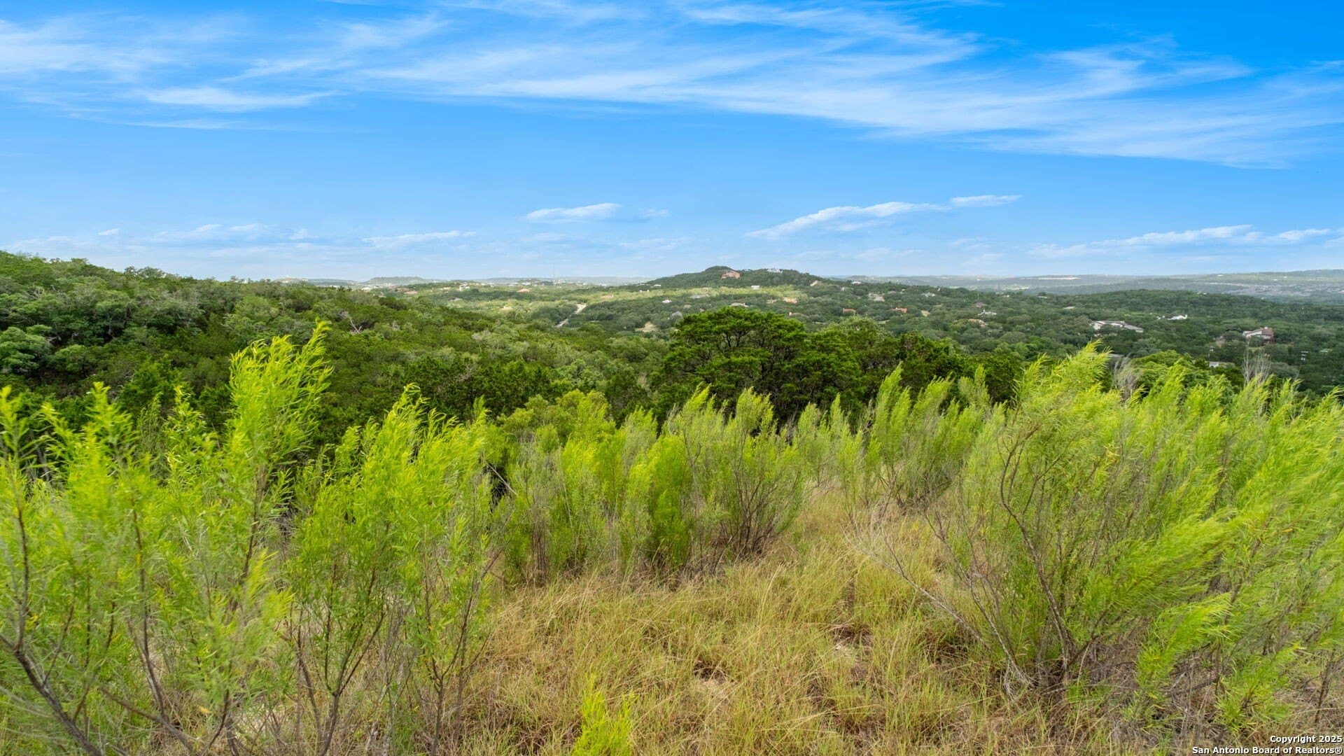 3.17 acres in Bexar County gallery image 4