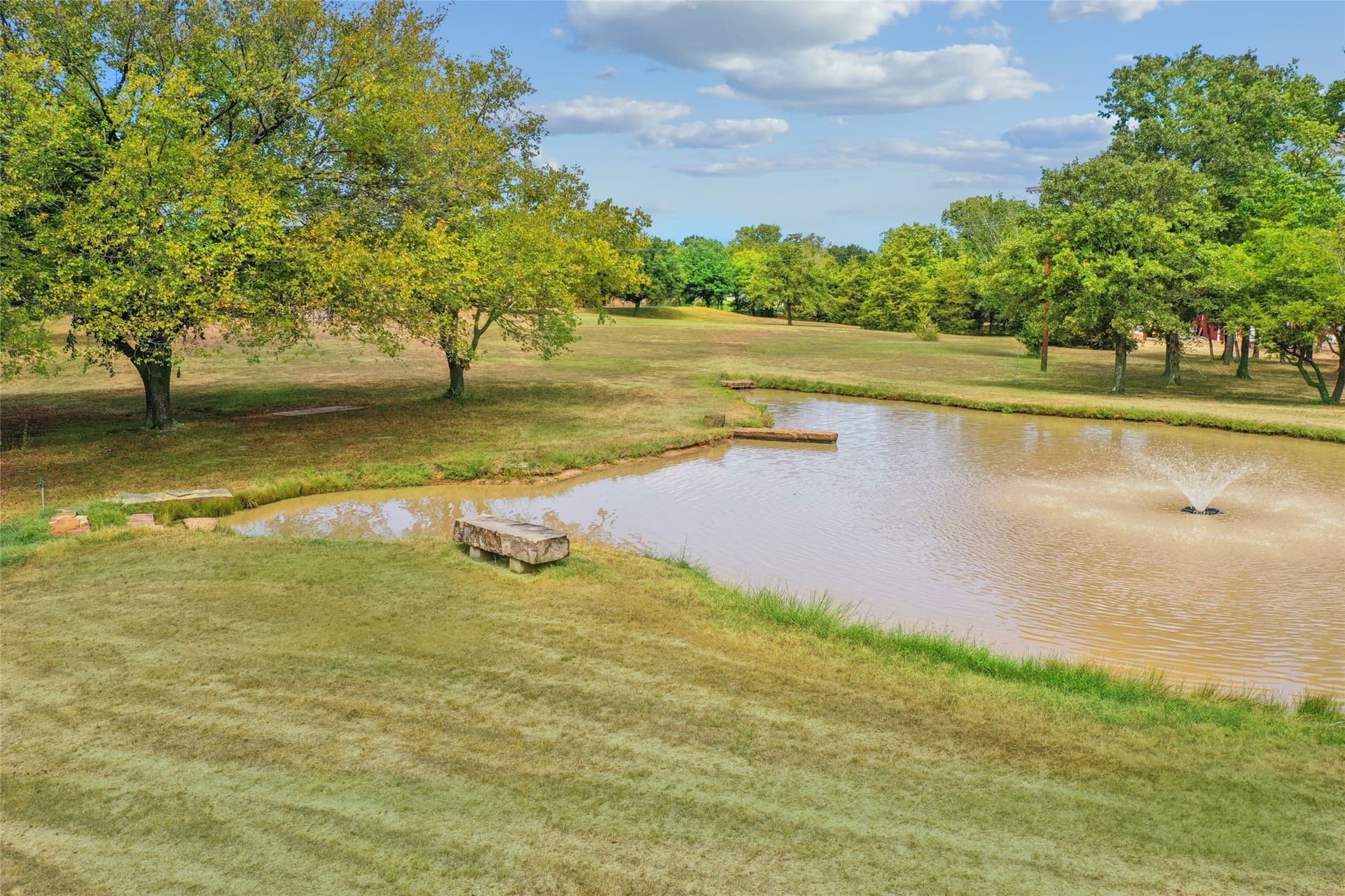 2 acres in Denton County - photo 23