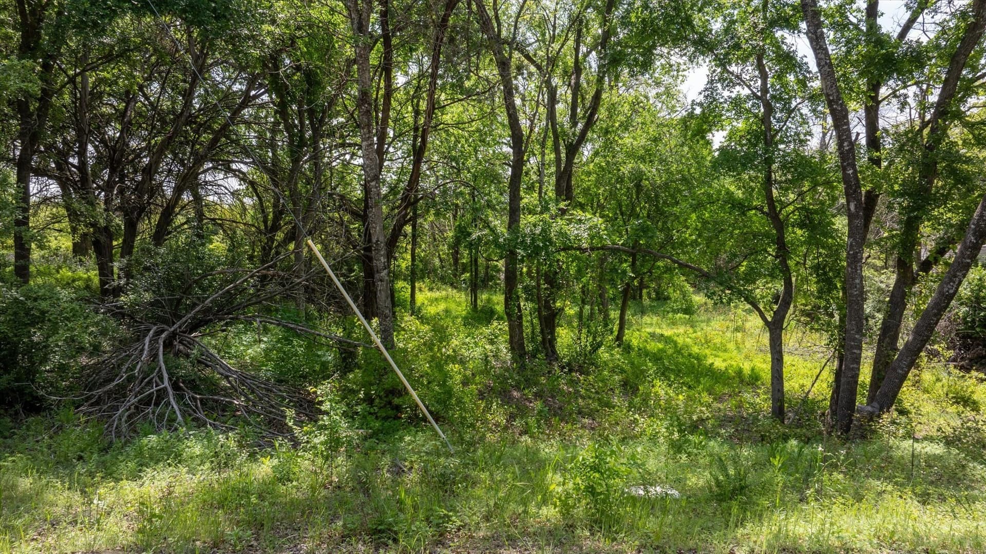 0.22 acres in Hood County - photo 13