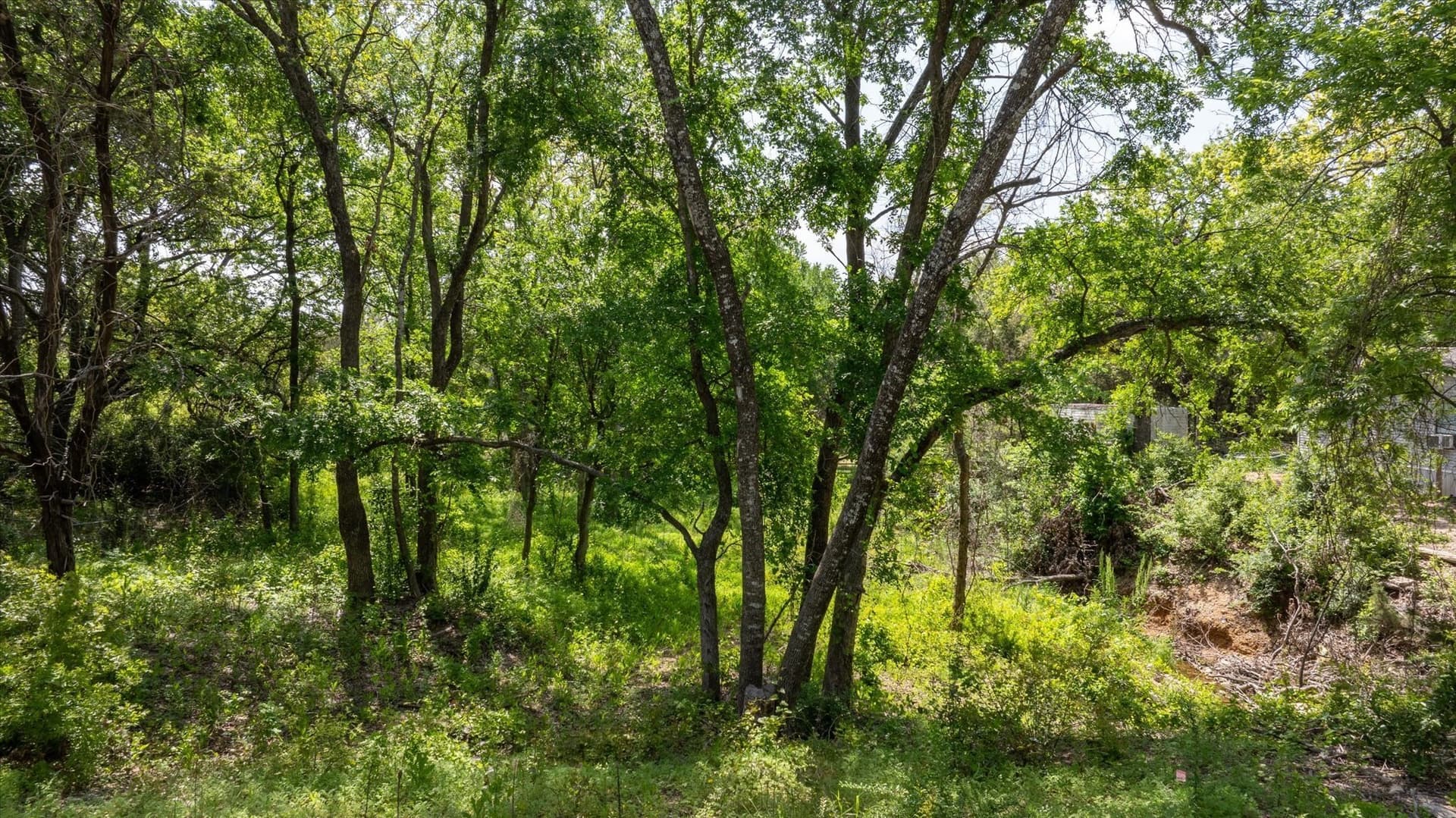 0.22 acres in Hood County - photo 2