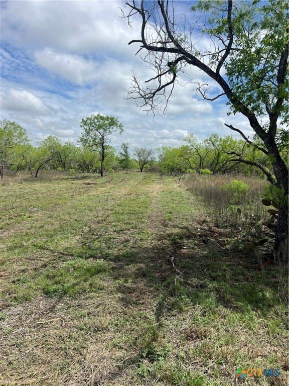 50.01 acres in Gonzales County gallery image 3