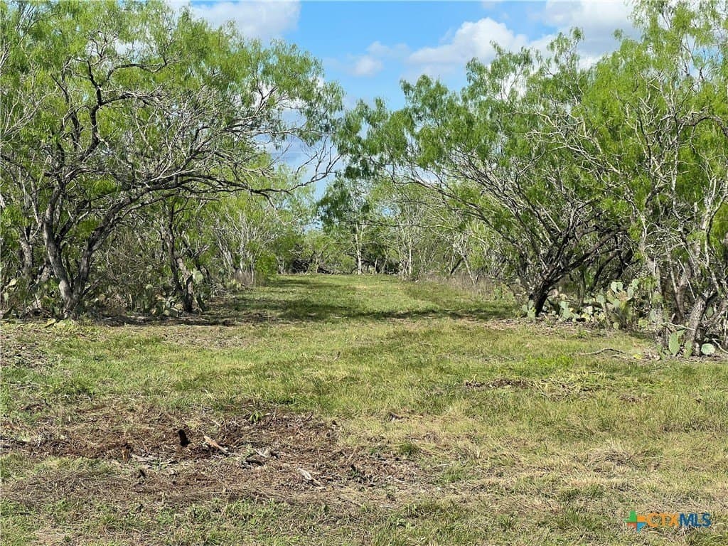 50.01 acres in Gonzales County featured view
